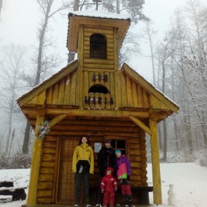 Liška II - průběžný stav